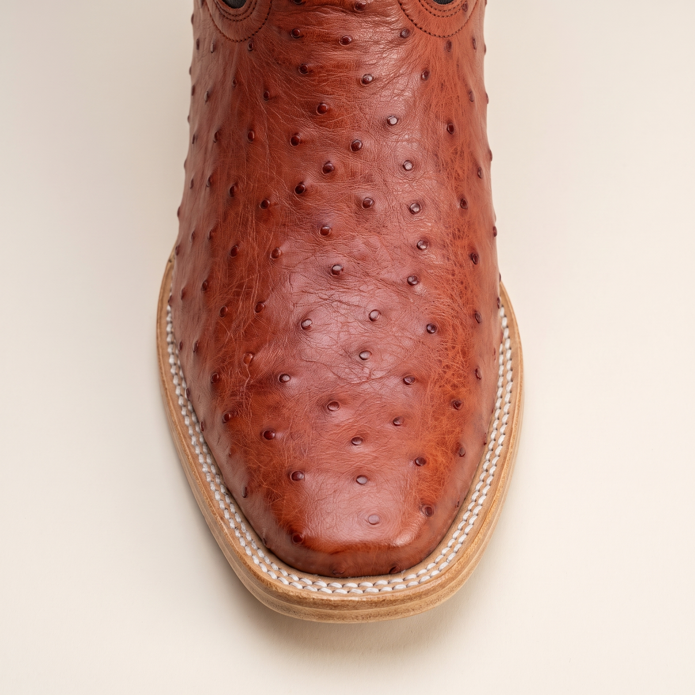 Red Ostrich